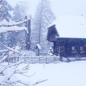 Winter